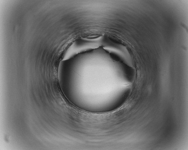 X0000099380048200805151629