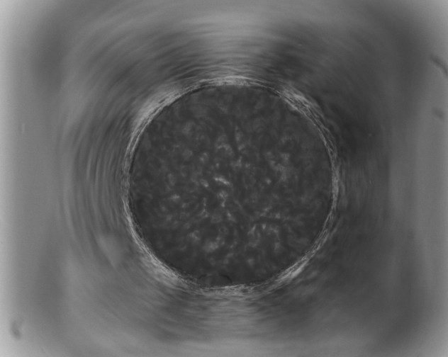 X0000099380049200805151628