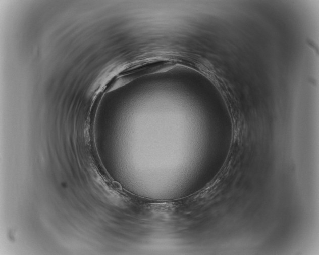 X0000099380050200805151628