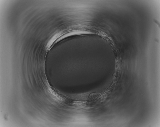 X0000099380051200805151628