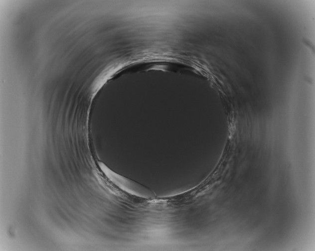 X0000099380052200805151628