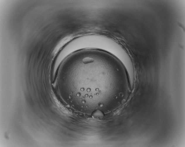 X0000099380054200805151628