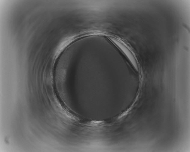 X0000099380055200805151628