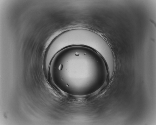 X0000099380056200805151628