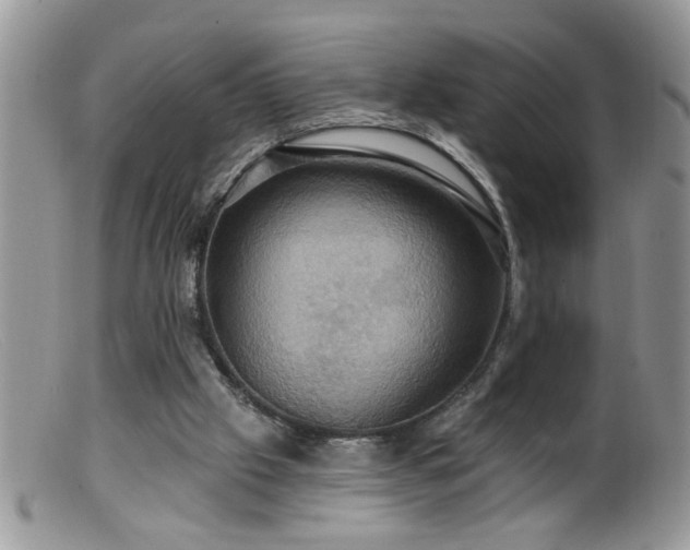 X0000099380057200805151628