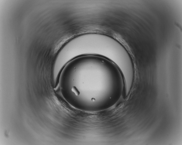 X0000099380058200805151628