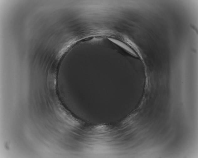 X0000099380059200805151628