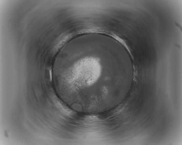 X0000099380061200805151628