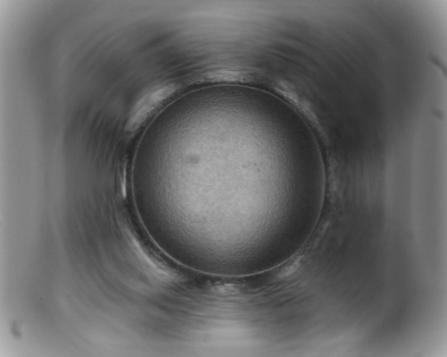 X0000099380062200805151628