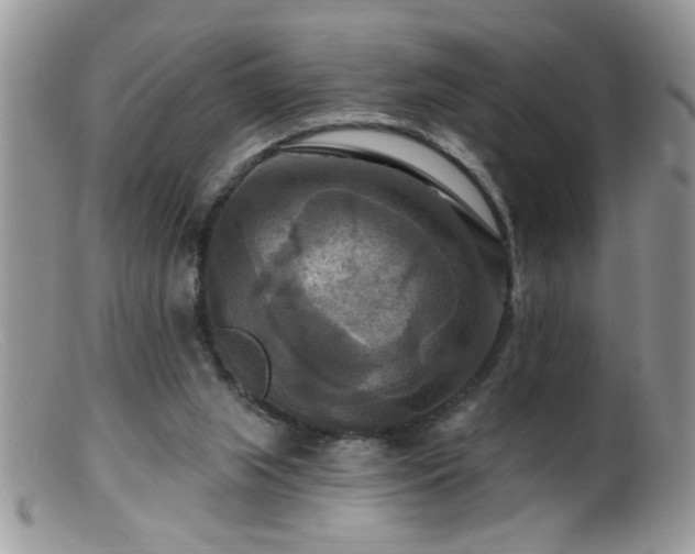 X0000099380063200805151628