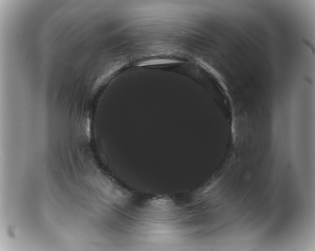 X0000099380067200805151628