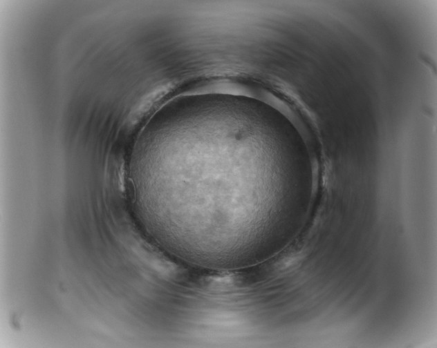 X0000099380068200805151628