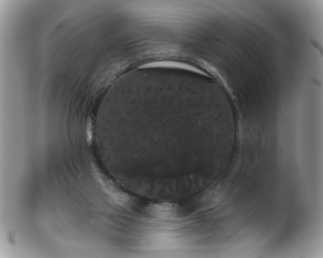 X0000099380069200805151628