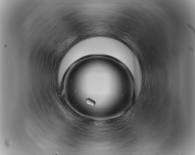 X0000099380070200805151628