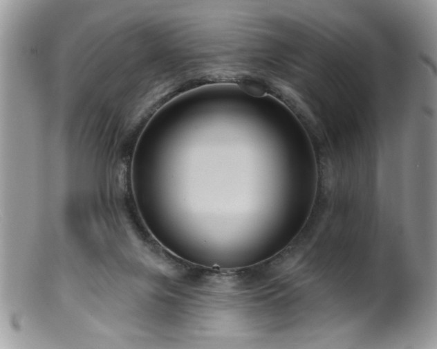 X0000099380071200805151628