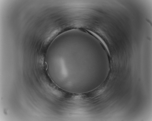 X0000099380072200805151628