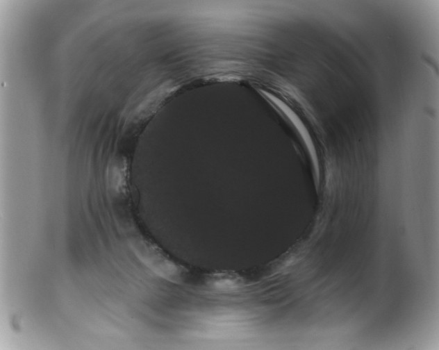 X0000099380073200805151628