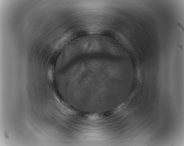 X0000099380074200805151628