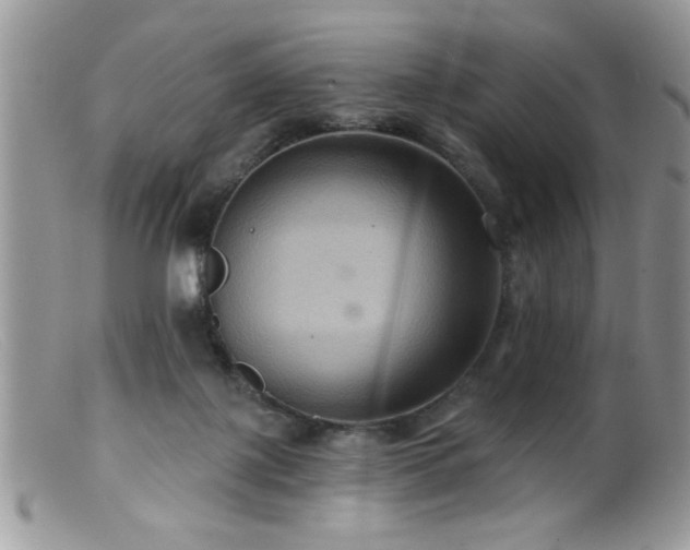 X0000099380075200805151628