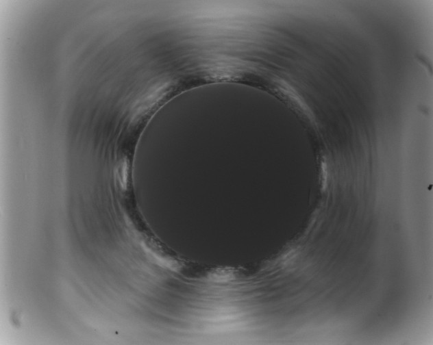 X0000099380076200805151628