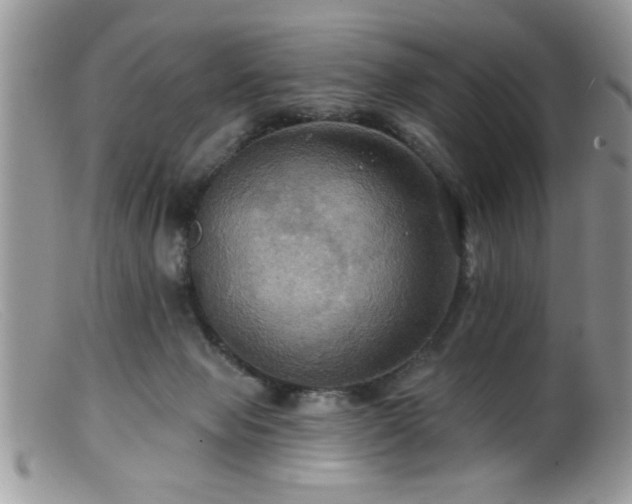 X0000099380077200805151628