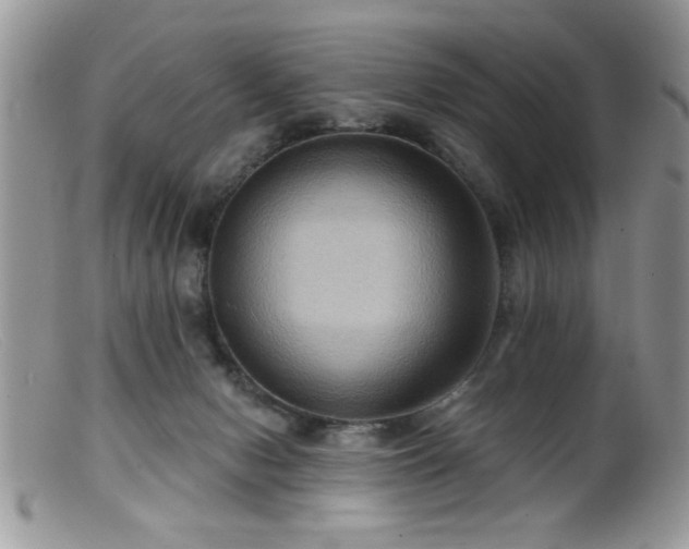 X0000099380078200805151628