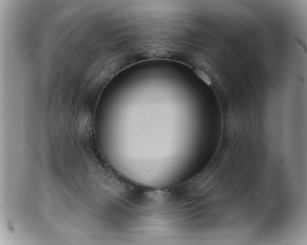 X0000099380079200805151628