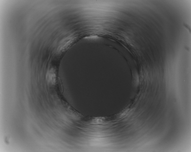 X0000099380080200805151628