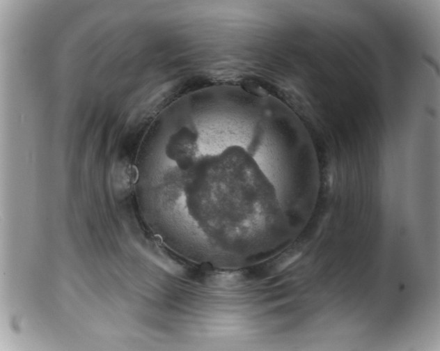 X0000099380081200805151628