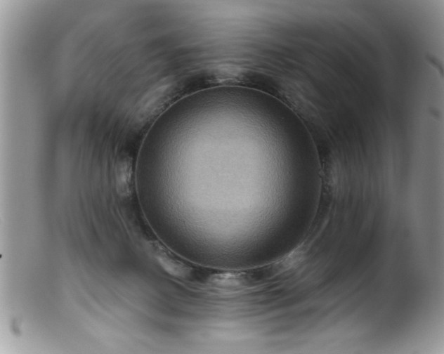 X0000099380082200805151628