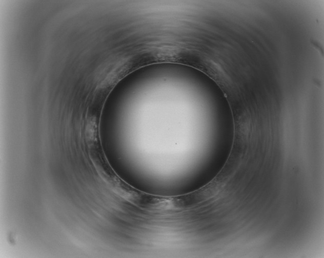 X0000099380083200805151628