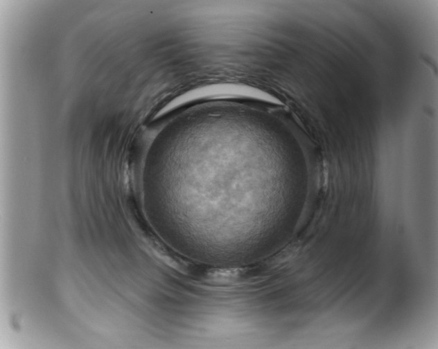 X0000099380084200805151629