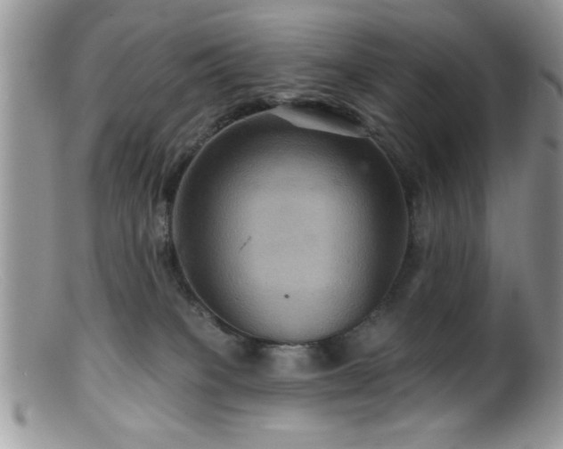 X0000099380085200805151629