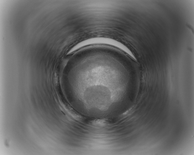 X0000099380086200805151629