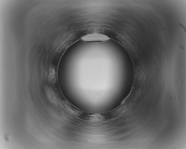 X0000099380087200805151629