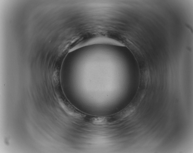 X0000099380088200805151629