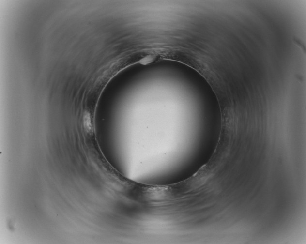 X0000099380089200805151629