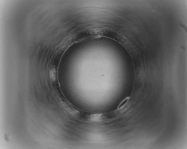 X0000099380090200805151629