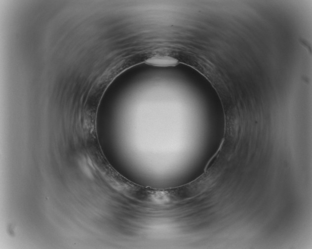 X0000099380091200805151629