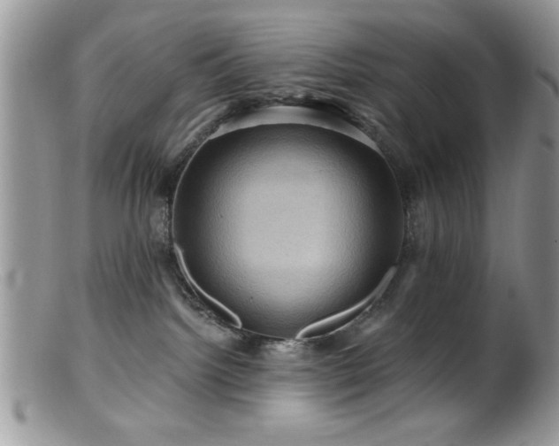 X0000099380092200805151629