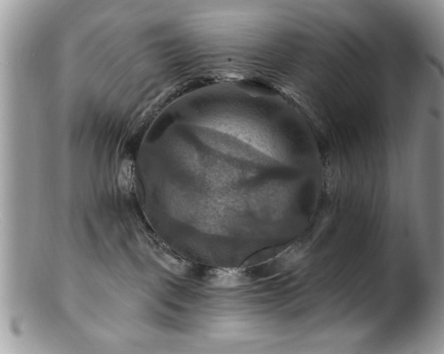 X0000099380093200805151629