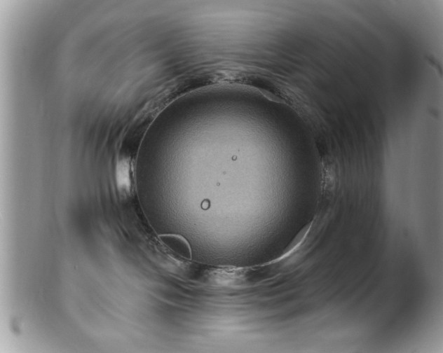 X0000099380094200805151629