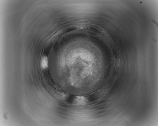 X0000099380095200805151629