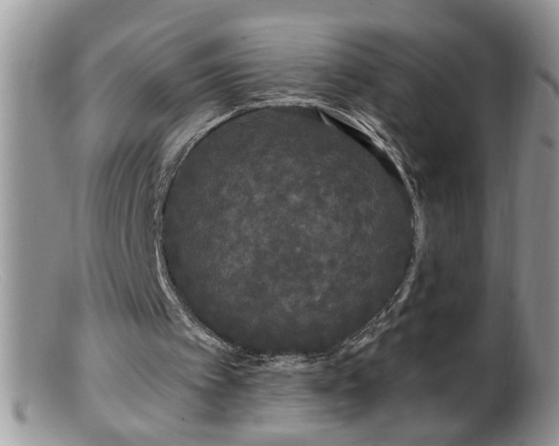 X0000099380097200805151628