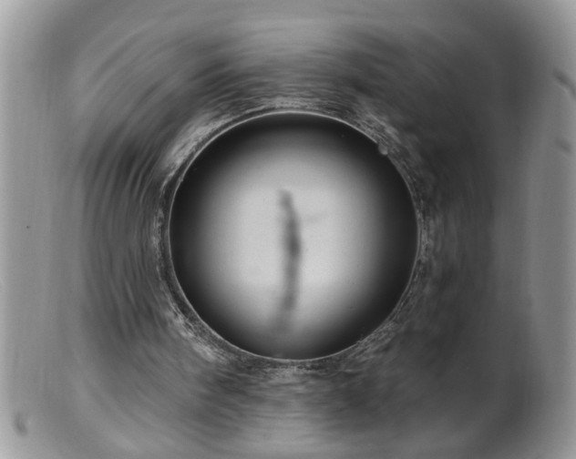 X0000099380098200805151628