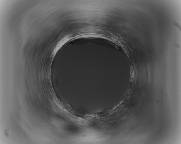 X0000099380099200805151628