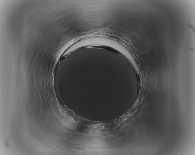 X0000099380100200805151628