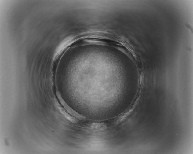 X0000099380101200805151628