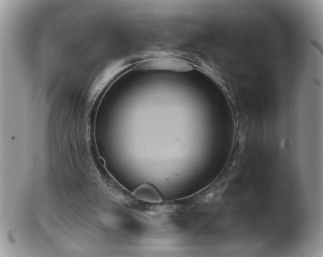 X0000099380103200805151628