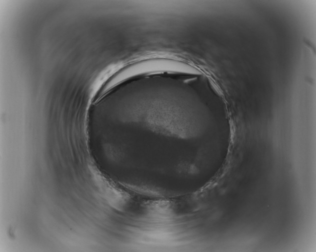 X0000099380104200805151628